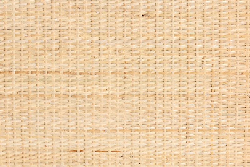 Petra Natural Rattan Storage Cabinet Baxton