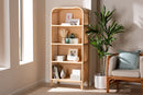 Bryna Natural Rattan Decorative Shelf Baxton