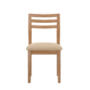 Bradley Set of 2 Side Chairs Alpine