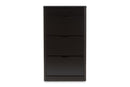 Macias Black Wood Shoe Cabinet Baxton