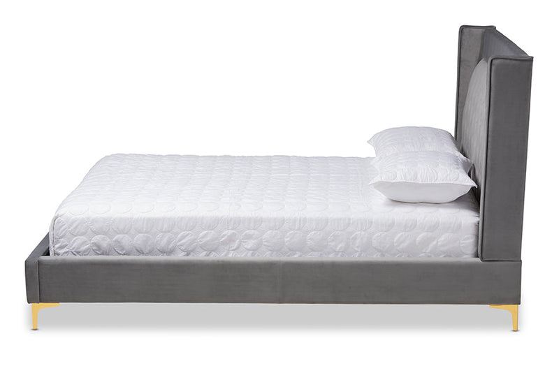 Carel Dark Gray Velvet Fabric Queen Size Platform Bed w/Gold-Finished Legs Baxton