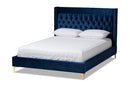 Carel Navy Blue Velvet Fabric Queen Size Platform Bed w/Gold-Finished Legs Baxton