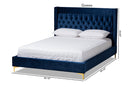 Carel Navy Blue Velvet Fabric Queen Size Platform Bed w/Gold-Finished Legs Baxton