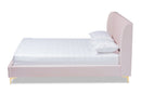 Connor Light Pink Velvet Fabric Queen Size Platform Bed w/Gold-Tone Legs Baxton