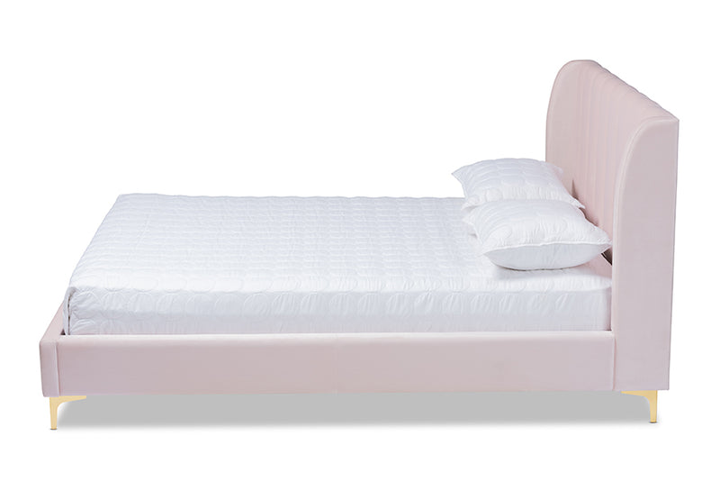 Connor Glam and Luxe Light Pink Velvet Fabric Upholstered Queen Size Platform Bed w/Gold-Tone Legs