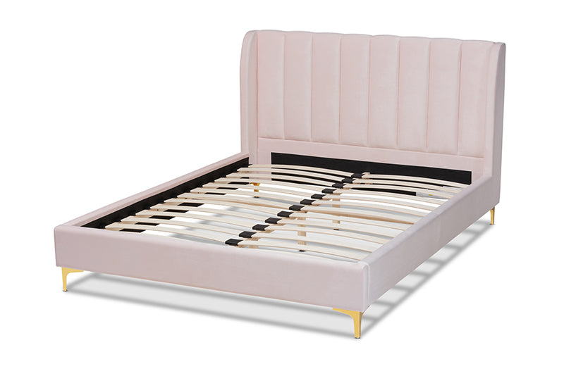 Connor Glam and Luxe Light Pink Velvet Fabric Upholstered Queen Size Platform Bed w/Gold-Tone Legs