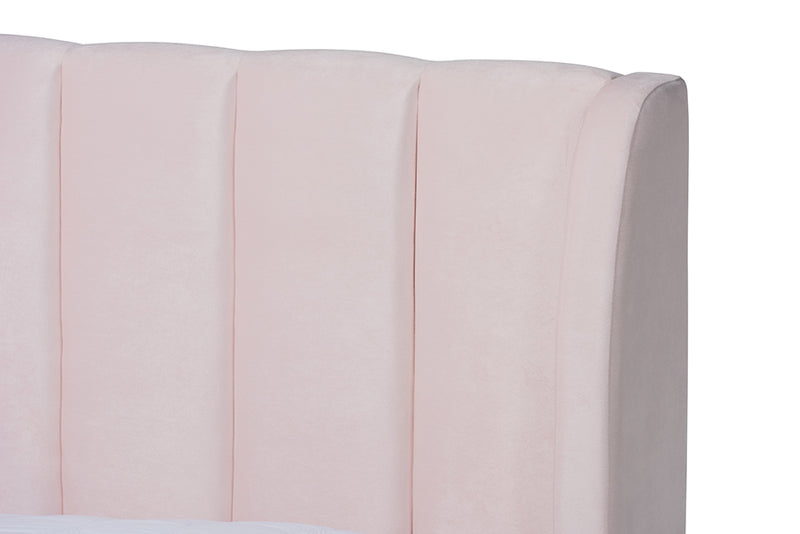 Connor Glam and Luxe Light Pink Velvet Fabric Upholstered Queen Size Platform Bed w/Gold-Tone Legs