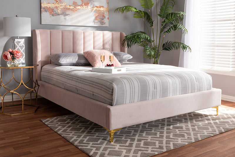 Connor Glam and Luxe Light Pink Velvet Fabric Upholstered Queen Size Platform Bed w/Gold-Tone Legs