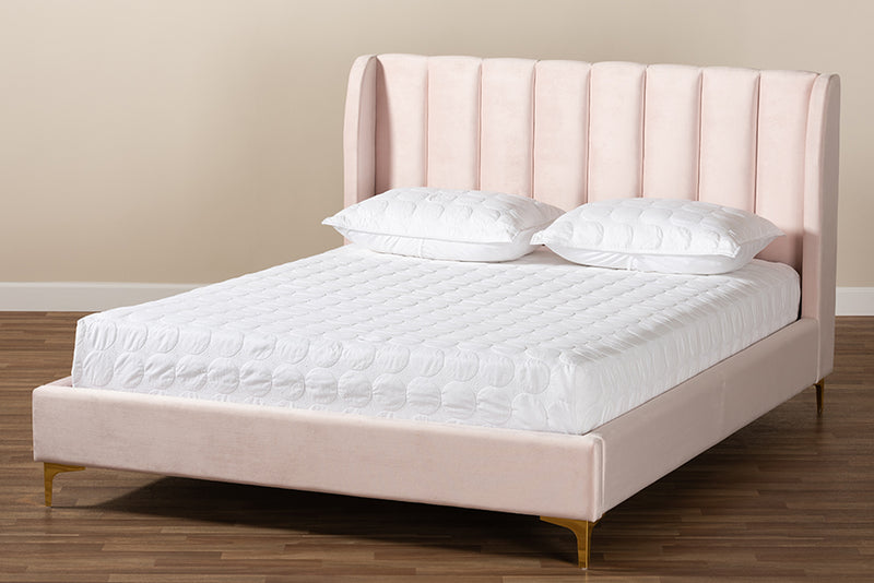 Connor Glam and Luxe Light Pink Velvet Fabric Upholstered Queen Size Platform Bed w/Gold-Tone Legs
