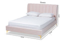 Connor Light Pink Velvet Fabric Queen Size Platform Bed w/Gold-Tone Legs Baxton