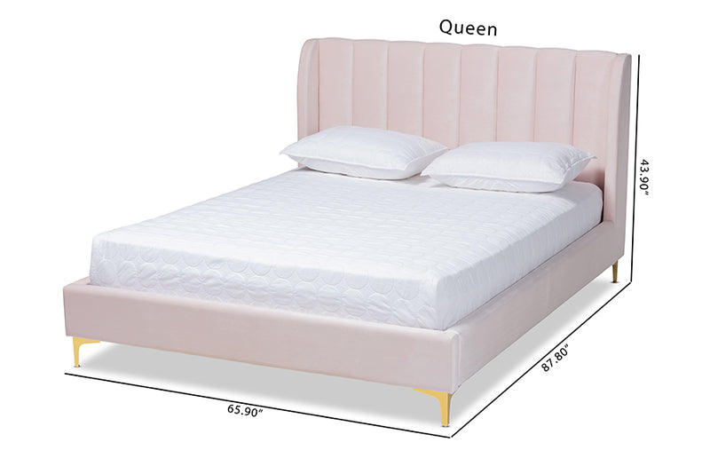 Connor Glam and Luxe Light Pink Velvet Fabric Upholstered Queen Size Platform Bed w/Gold-Tone Legs
