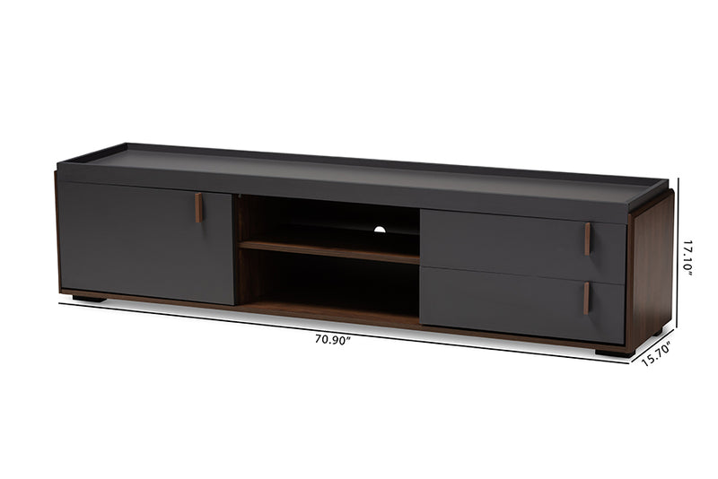 Keagan Modern and Contemporary Two-Tone Gray and Walnut Finished Wood 2-Drawer TV Stand