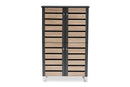 Leola Two-Tone Oak and Dark Gray 4-Door Shoe Storage Cabinet Baxton