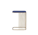 Aviena Rectangular Accent Table, Blue & Gold Finish Acme