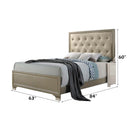 Carine Queen Bed, Faux Leather & Champagne Finish Acme