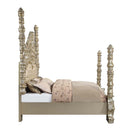 Danae King Bed, Faux Leather , Champagne & Gold Finish Acme