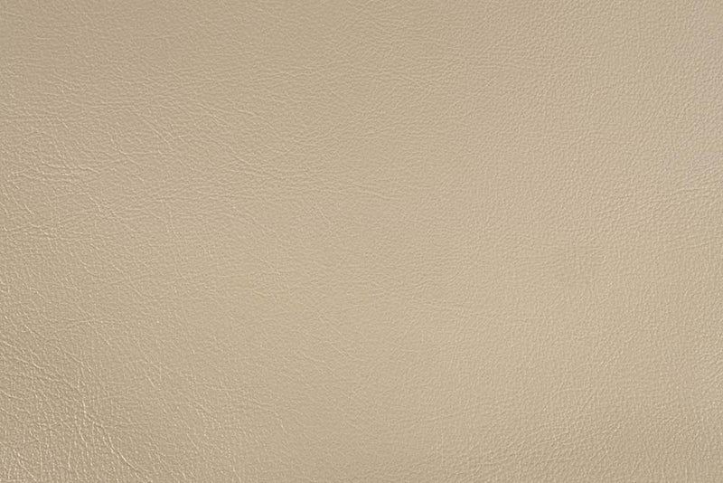 Danae King Bed, Faux Leather , Champagne & Gold Finish Acme