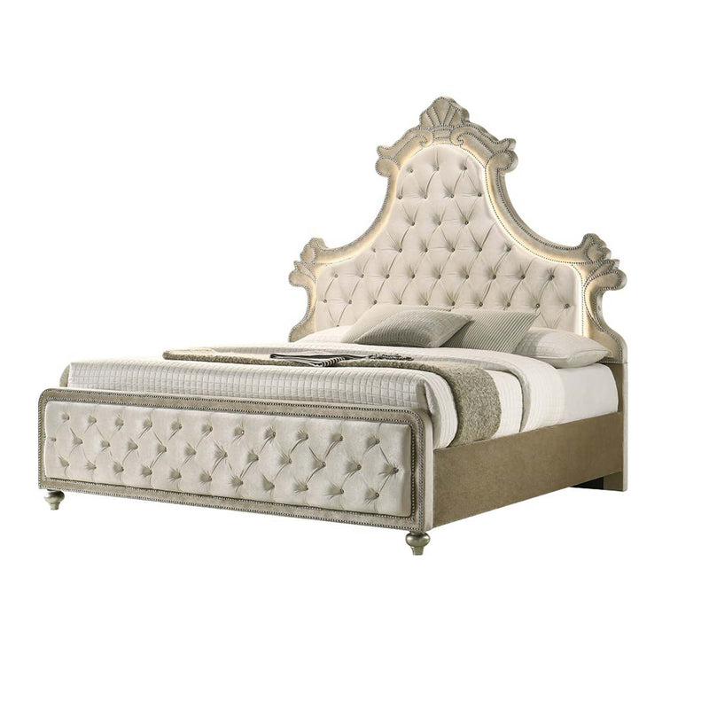 Lucienne Queen Bed w/LED, Beige Velvet Acme