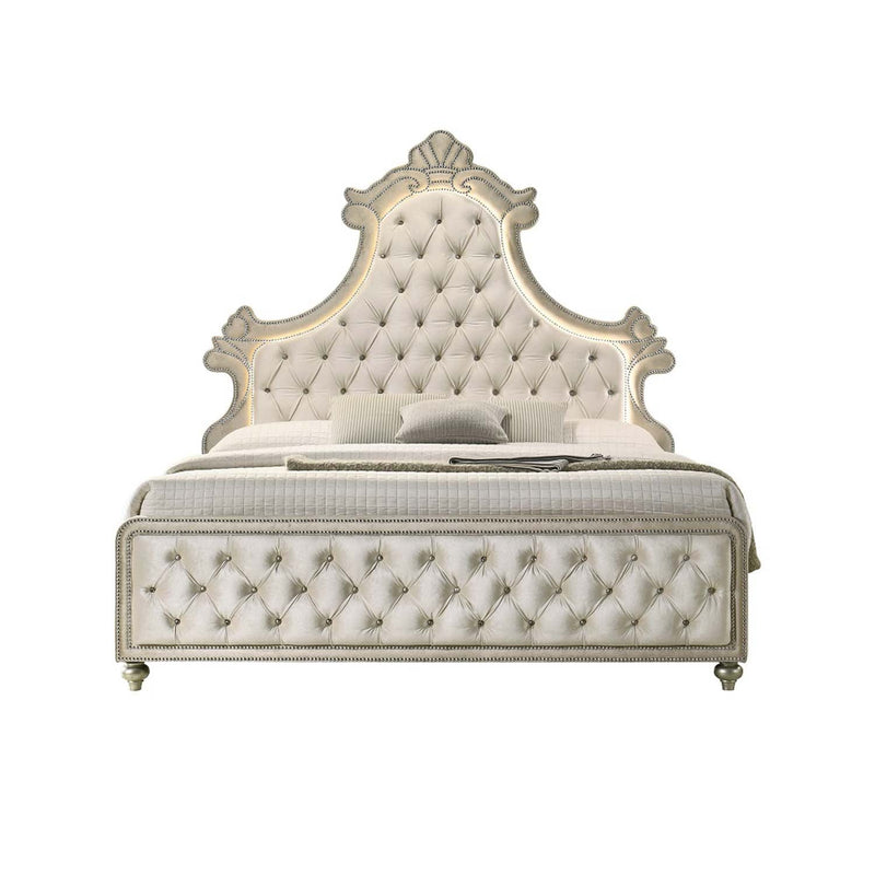 Lucienne Queen Bed w/LED, Beige Velvet Acme