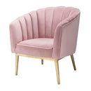Colla Accent Chair, Blush Pink Velvet & Gold Finish Acme
