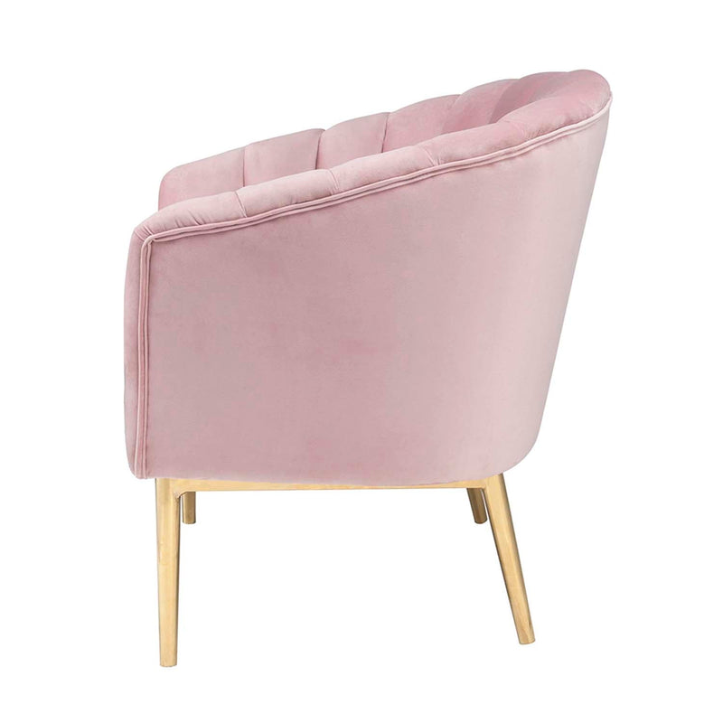 Colla Accent Chair, Blush Pink Velvet & Gold Finish Acme