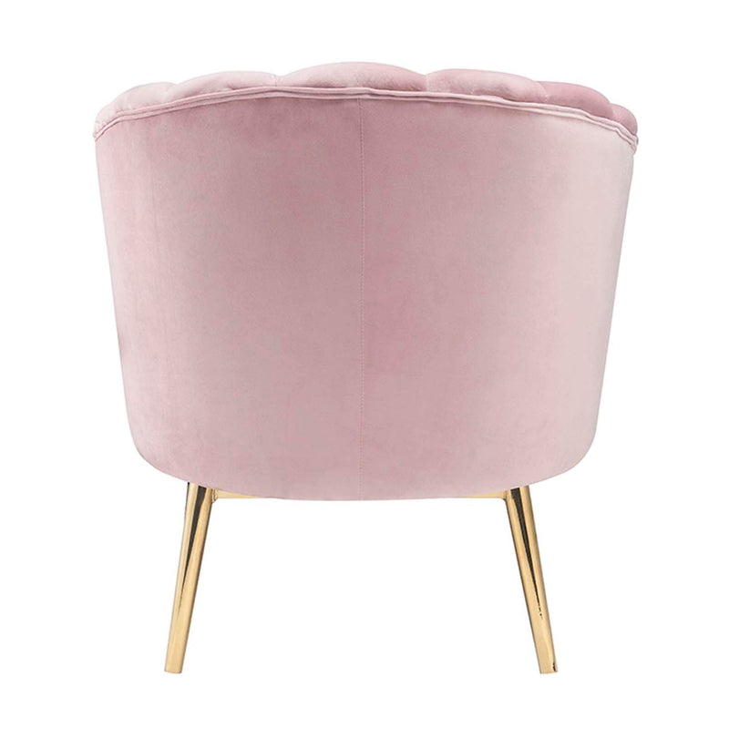 Colla Accent Chair, Blush Pink Velvet & Gold Finish Acme