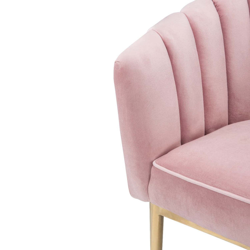 Colla Accent Chair, Blush Pink Velvet & Gold Finish Acme