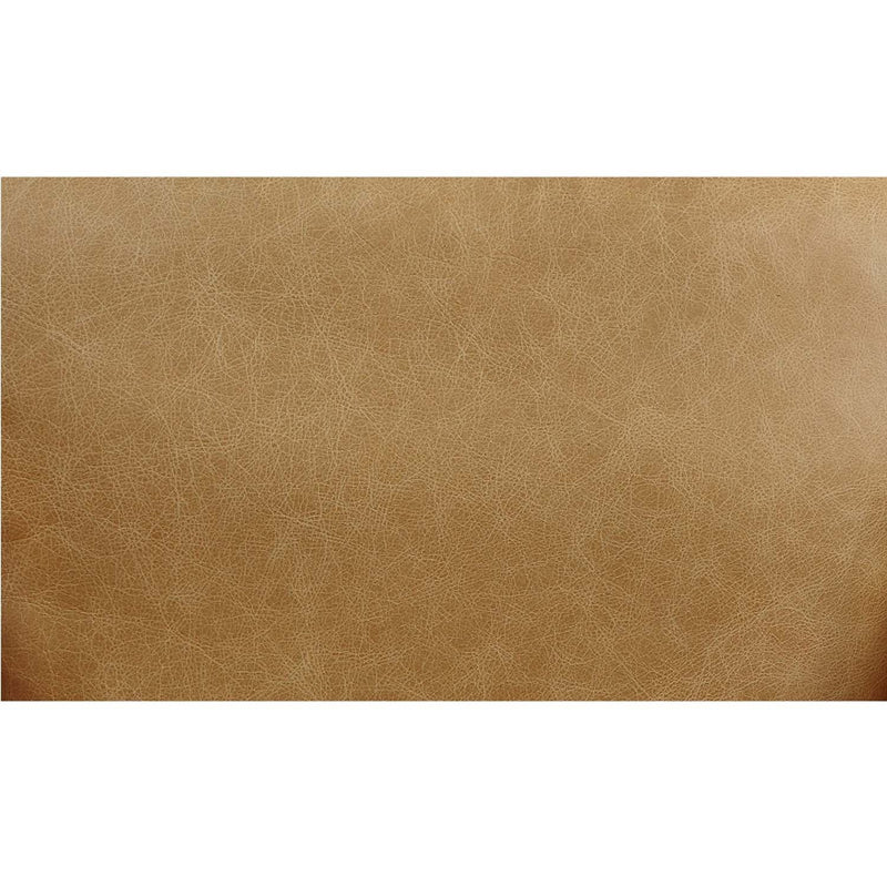 Pino Accent Chair, Morocco Top Grain Leather Acme