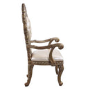 Constantine Arm Chair 2Pc, Faux Leather , Brown & Gold Finish Acme