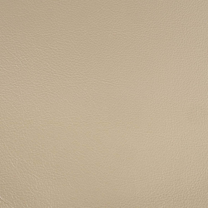 Danae Arm Chair 2Pc, Faux Leather , Champagne & Gold Finish Acme