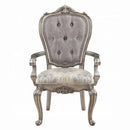 Ariadne Arm Chair 2Pc, Velvet & Antique Platinum Finish Acme