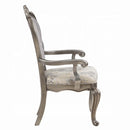Ariadne Arm Chair 2Pc, Velvet & Antique Platinum Finish Acme