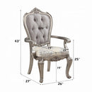 Ariadne Arm Chair 2Pc, Velvet & Antique Platinum Finish Acme