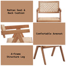 Velentina Arm Chair 2Pc, Rattan & Natural Finish Acme