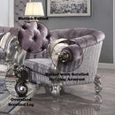 Versailles Chair w/2 Pillows, Velvet & Antique Platinum Acme