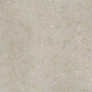 Danae Chair w/2 Pillows, Fabric, Champagne & Gold Finish Acme