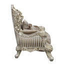 Sorina Chair w/2 Pillows, Velvet, Fabric & Antique Gold Finish Acme