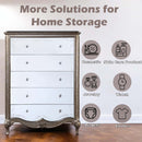 Esteban 5 Storage Drawers Chest, Antique Champagne Finish Acme