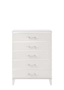 Chelsie 5 Storage Drawers  Chest, White Finish Acme