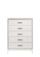 Haiden 5 Storage Drawers Chest, White Finish Acme