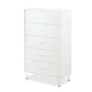 Deoss 5 Storage Drawers Chest, White Finish Acme