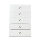Elms 5 Storage Drawers Chest, White Finish Acme