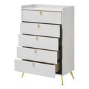 Zeena 5 Storage Drawers Chest, White Finish Acme