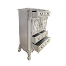 Dresden II 5 Storage Drawers & 2 Doors Chest, Bone White Finish Acme