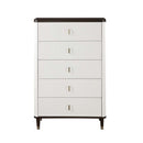 Carena 5 Storage Drawers Chest, White & Brown Finish Acme
