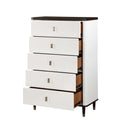 Carena 5 Storage Drawers Chest, White & Brown Finish Acme