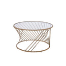 Bluelipe Round Coffee Table, Champagne Finish Acme