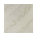 Telestis Square Coffee Table , White Marble Top & Black Finish Acme