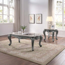 Ariadne Rectangular Coffee Table , Marble Top & Platinum Finish Acme