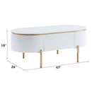 Daveigh Oval Coffee Table, White High Gloss & Gold Finish Acme
